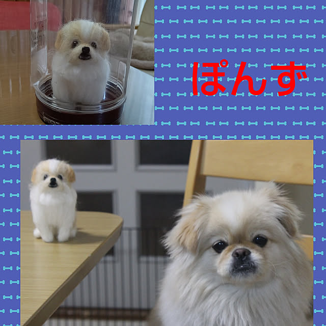 yumirinさんの実例写真