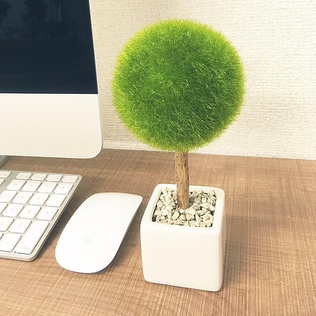 KazuhiroTakakiさんの実例写真
