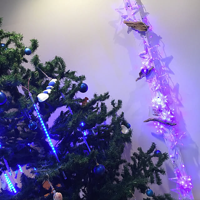 codaさんの実例写真