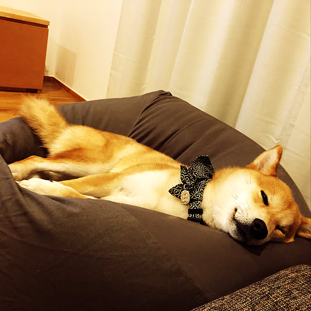 TETSUさんの実例写真