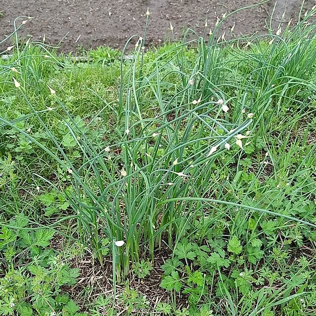 minnieさんの部屋