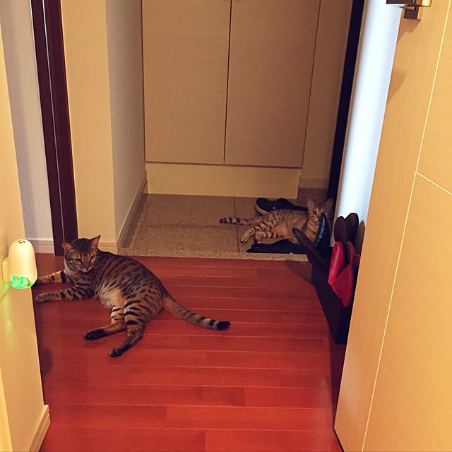 Akitoさんの実例写真