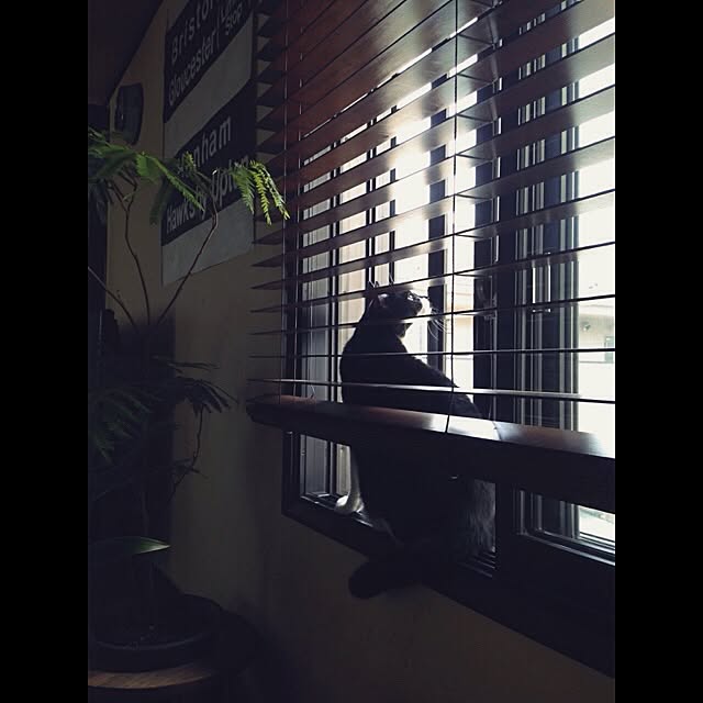 jnkaiさんの実例写真