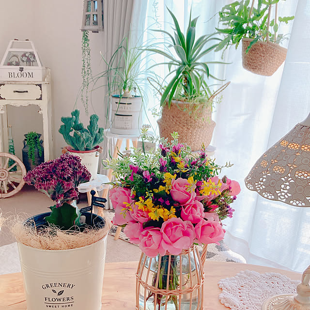 Hanakaさんの部屋