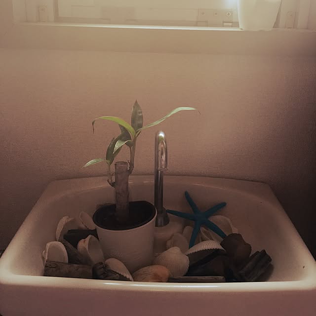 erikoさんの実例写真