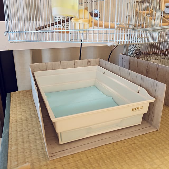 escargotさんの部屋