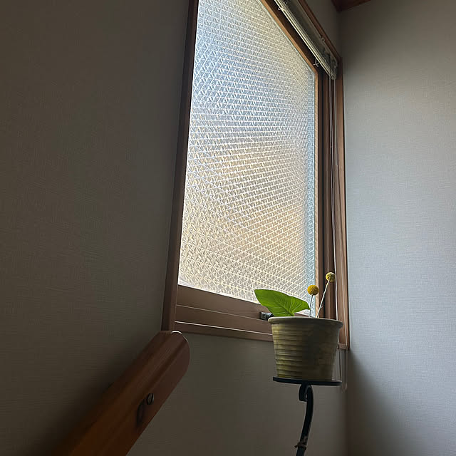 botanさんの部屋