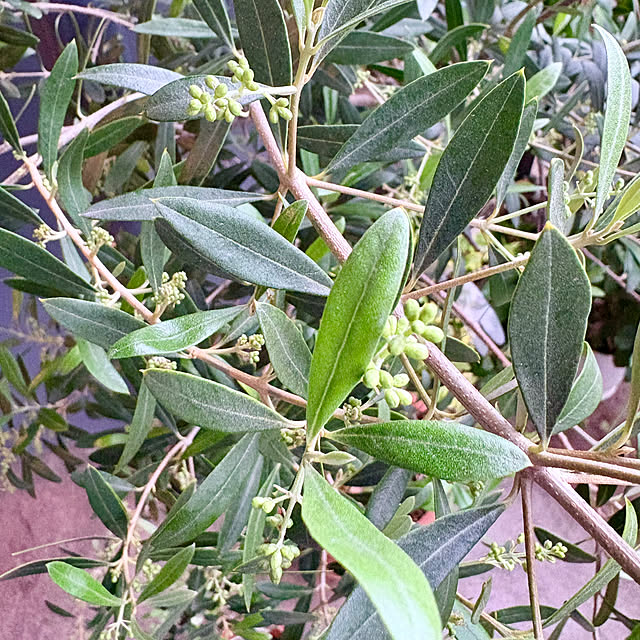 up0524さんの部屋