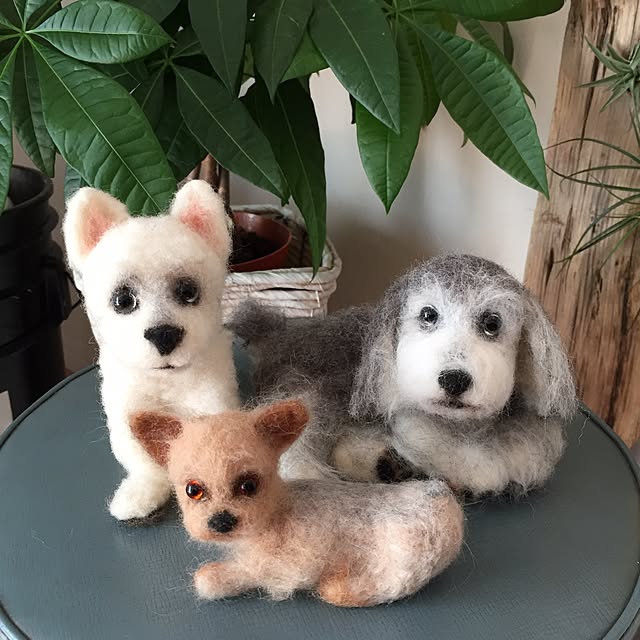 cooさんの実例写真