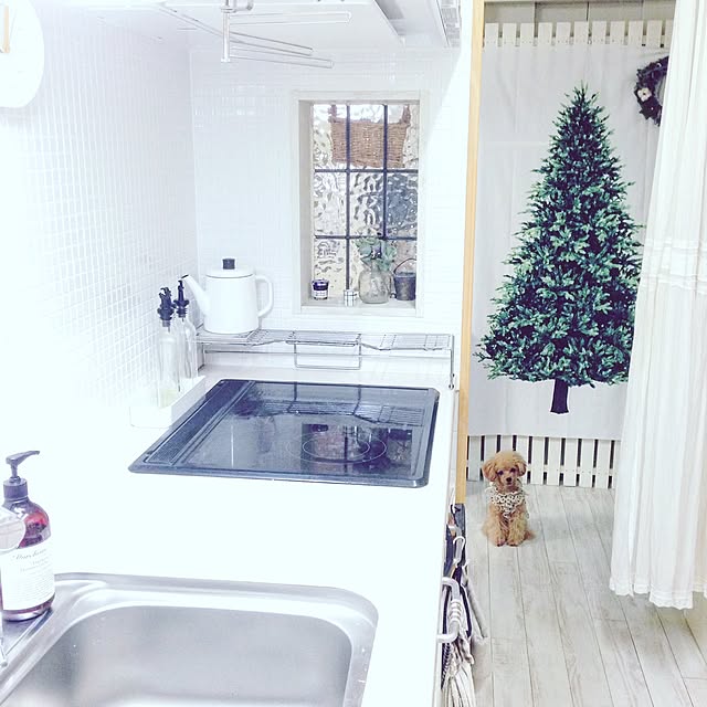 pocoさんの実例写真