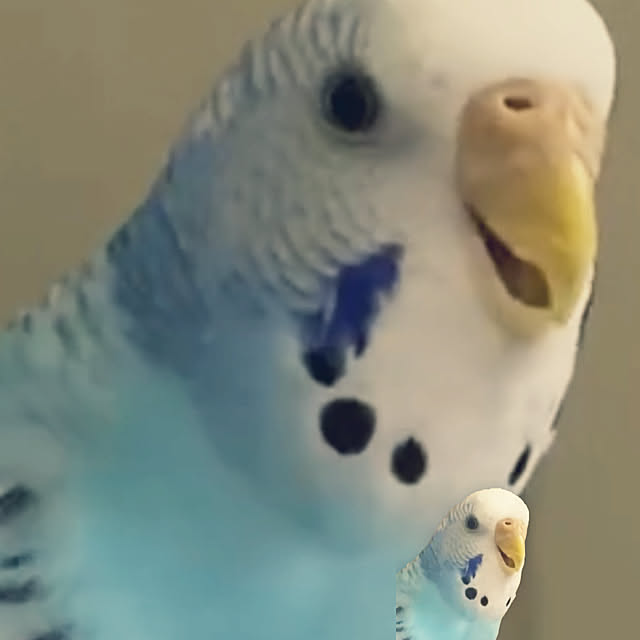 ohanaさんの実例写真