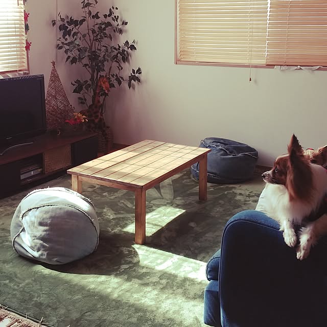 naoitikaさんの実例写真