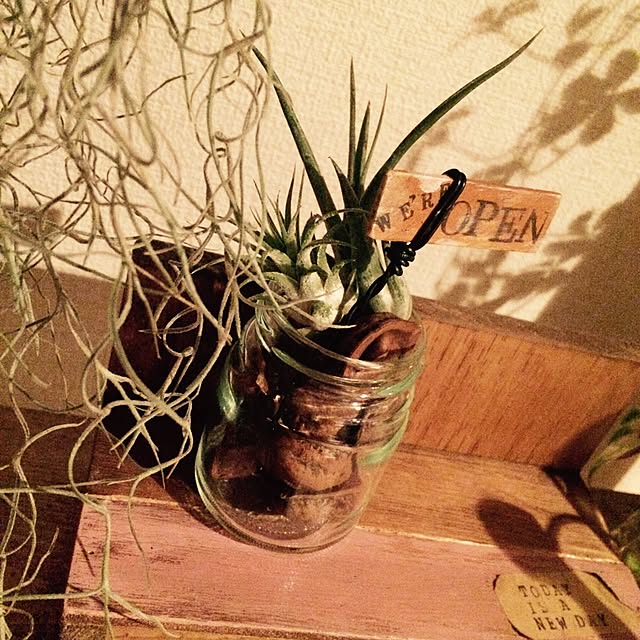 ベッド周り/NO GREEN NO LIFE/多肉植物/RC群馬/DIY...などのインテリア実例 - 2015-08-23 23:41:27