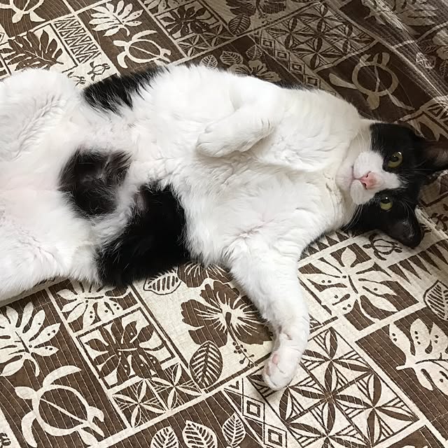 kumiさんの実例写真