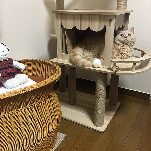 naokoさんの部屋