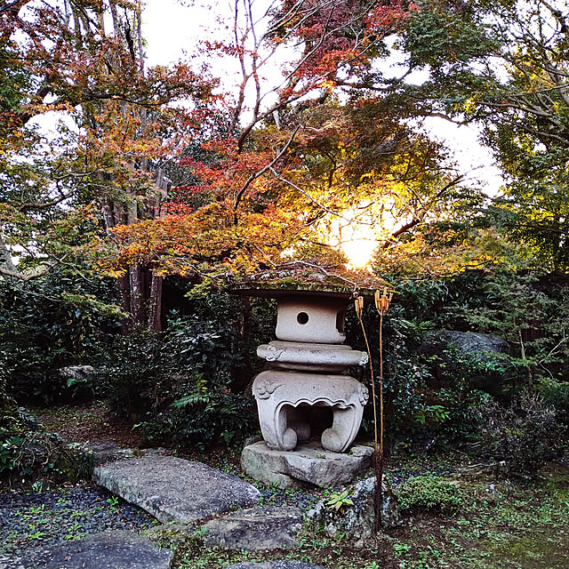 y.ebihara0811さんの実例写真