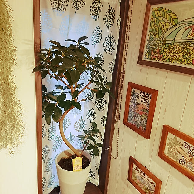 katcaさんの実例写真