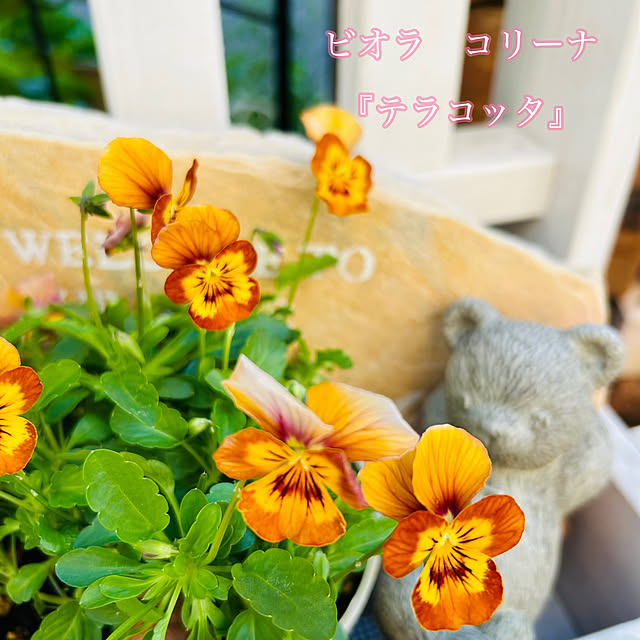 sunabaさんの部屋