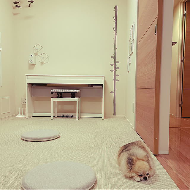 nanakoさんの実例写真