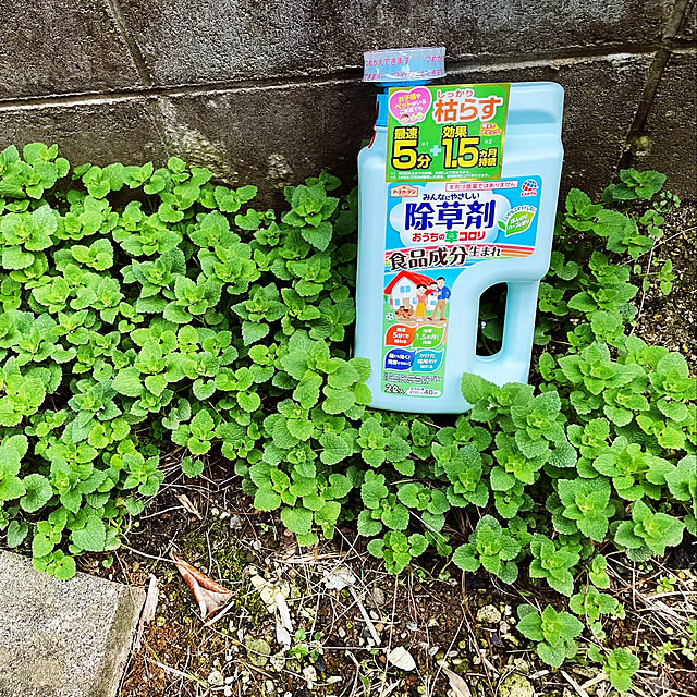 emaryさんの実例写真