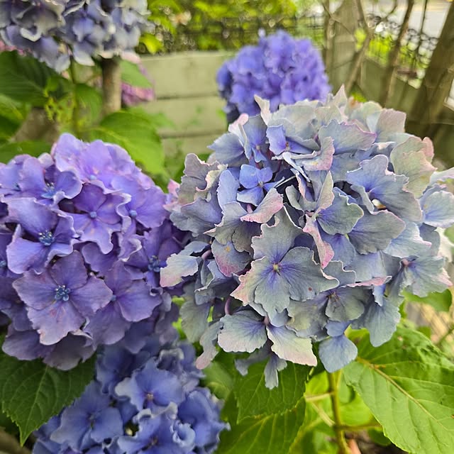 min_nimさんの部屋