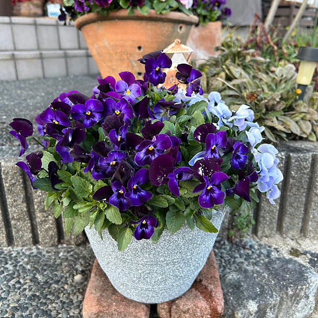 ritsukoさんの部屋