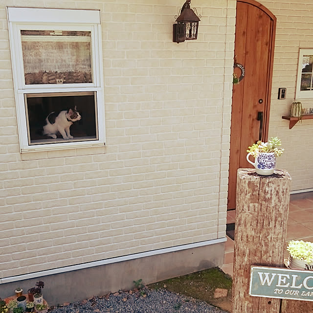 a-minさんの実例写真