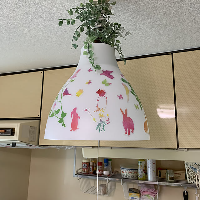 hinaさんの部屋