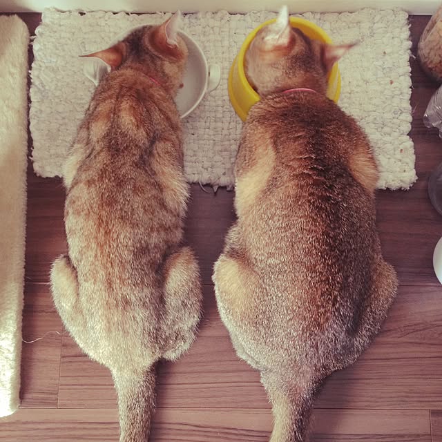 1633さんの実例写真