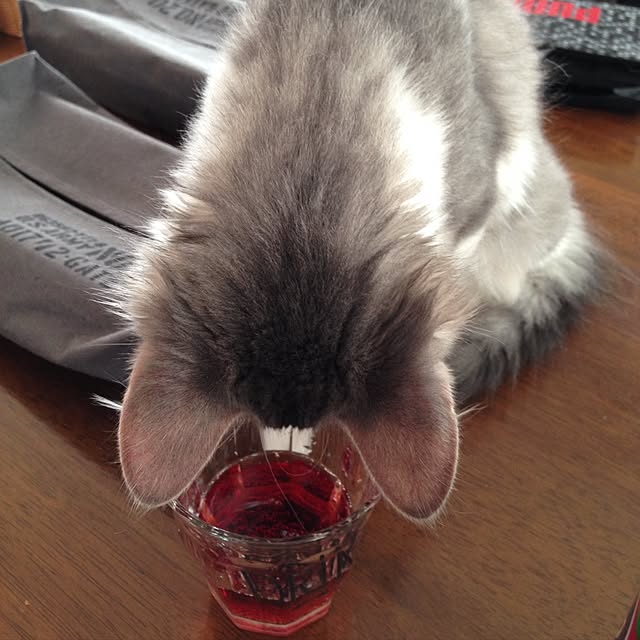 fuuさんの実例写真