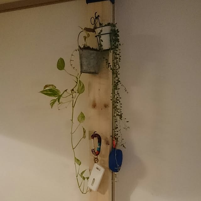 t-k-tomo6372さんの実例写真