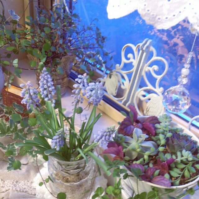 adelaさんの実例写真