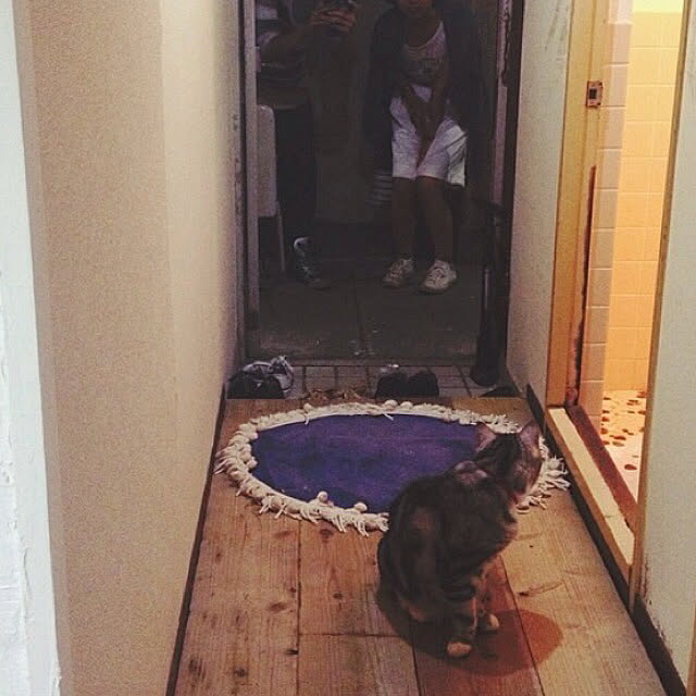 実例写真