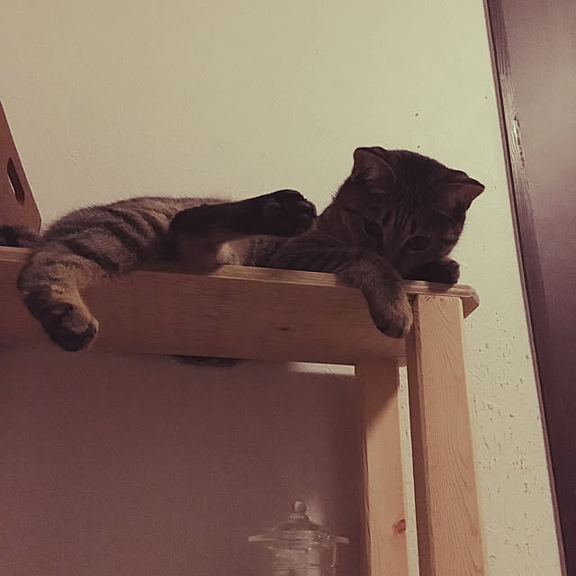 Mさんの実例写真