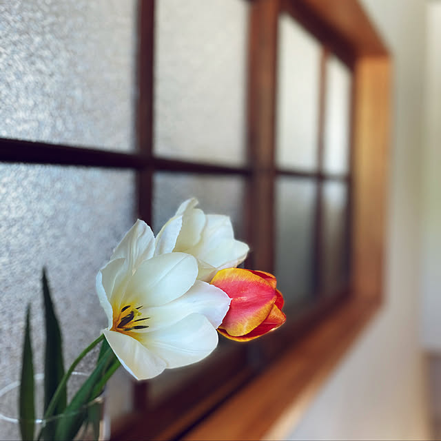 do___ra.さんの実例写真