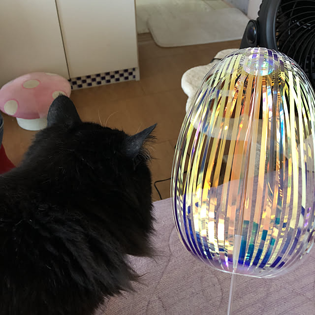 kanaさんの実例写真
