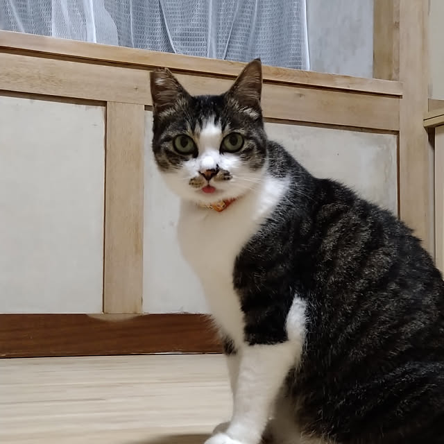 kiyohima229さんの実例写真