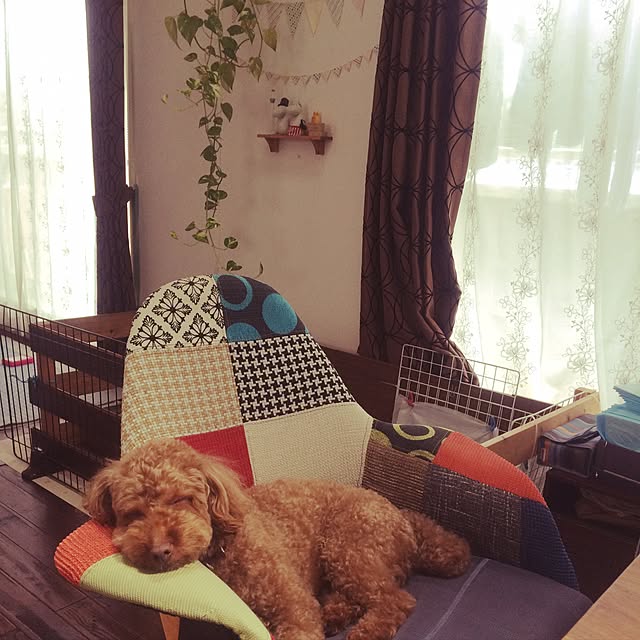 Yokoさんの実例写真