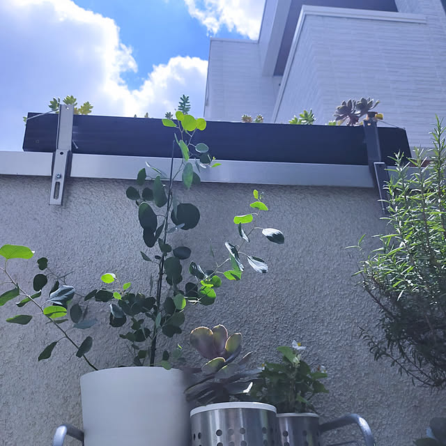 jinさんの実例写真