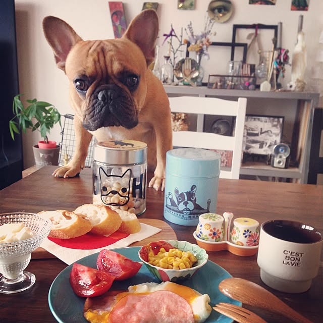 eriさんの実例写真