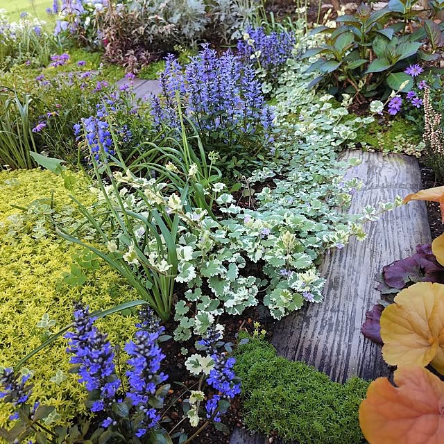 coconathuさんの実例写真