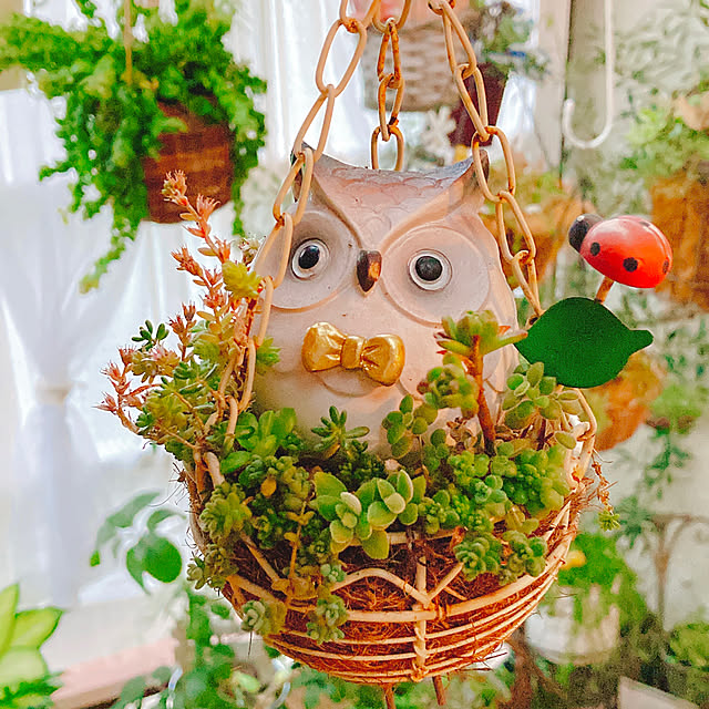 Hanakaさんの実例写真