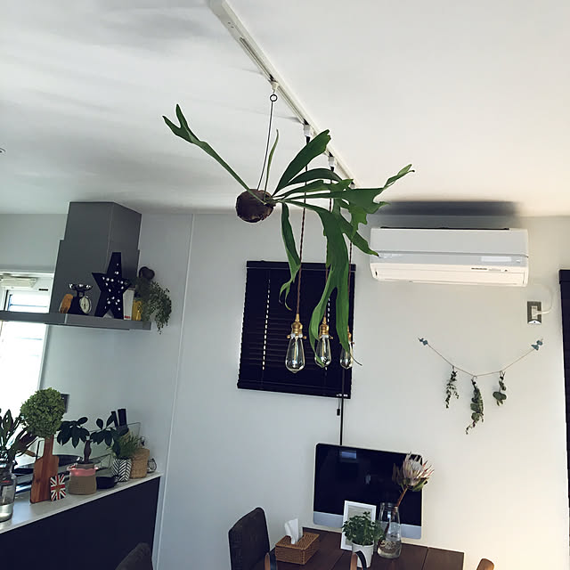 waoukaiさんの実例写真