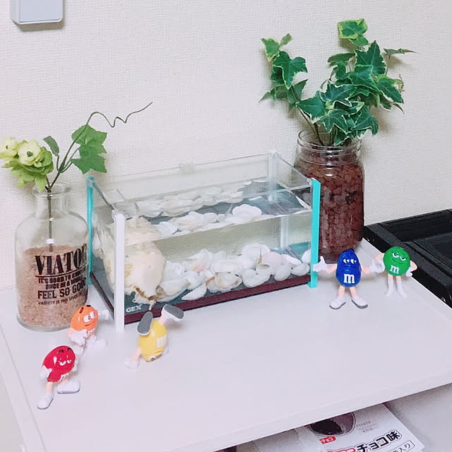 リビング/100均/観葉植物/雑貨のインテリア実例 - 2017-10-12 14:17:56