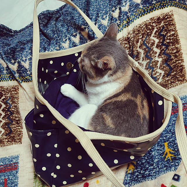 fukuさんの実例写真