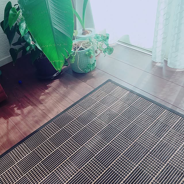 kokoroさんの実例写真