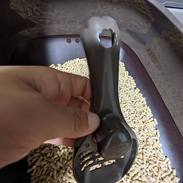 ciiiさんの部屋