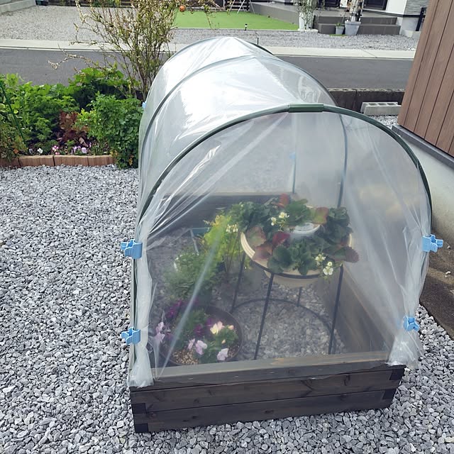 mutsuさんの部屋