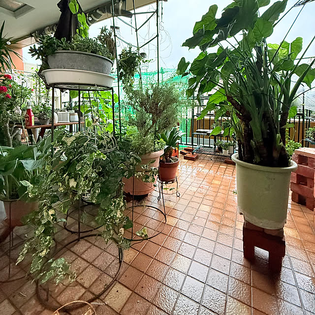 Aqettyさんの部屋
