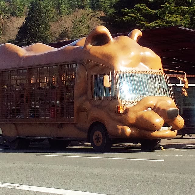 実例写真